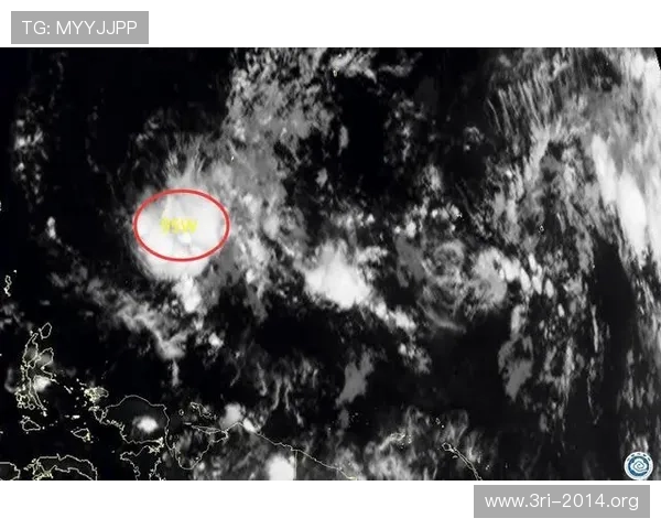 壹号官网最新作品预告，未来作品动态提前知晓